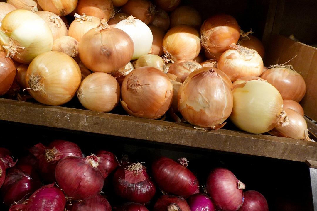 Another Distributor Recalls Onions Over Salmonella Concerns
