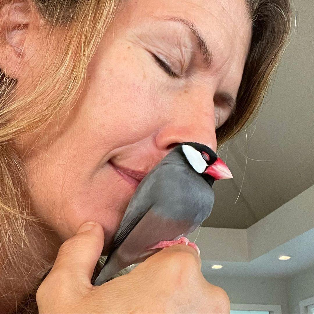 (Courtesy of <a href="https://www.instagram.com/mrbabysnuggles/">Carol Dumeyer</a>)