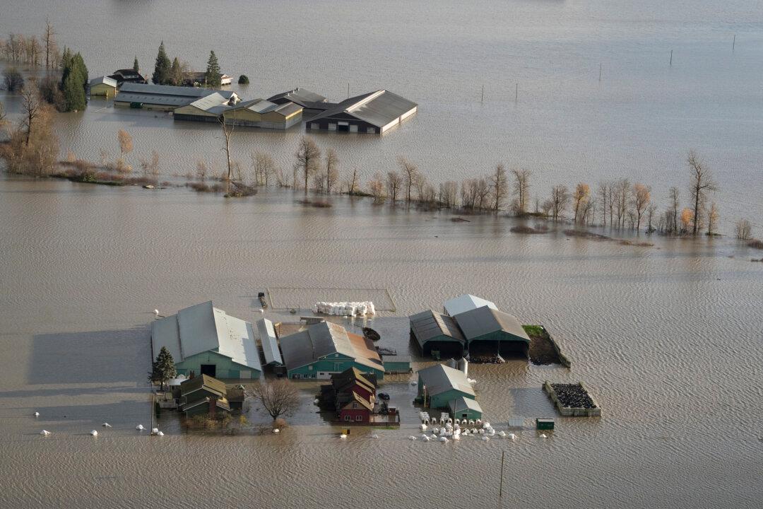 No Disaster Aid for Homeowners Who Don’t Buy Flood Insurance, Suggests Federal Report