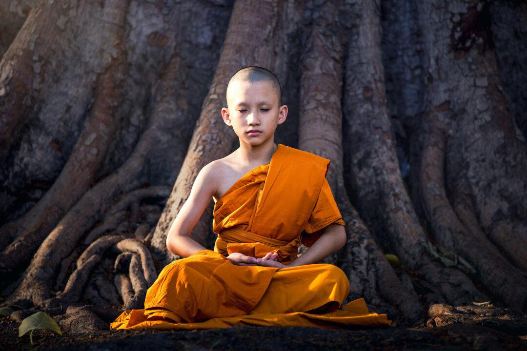 Metacognition Can Improve the ‘Cognition Crisis’