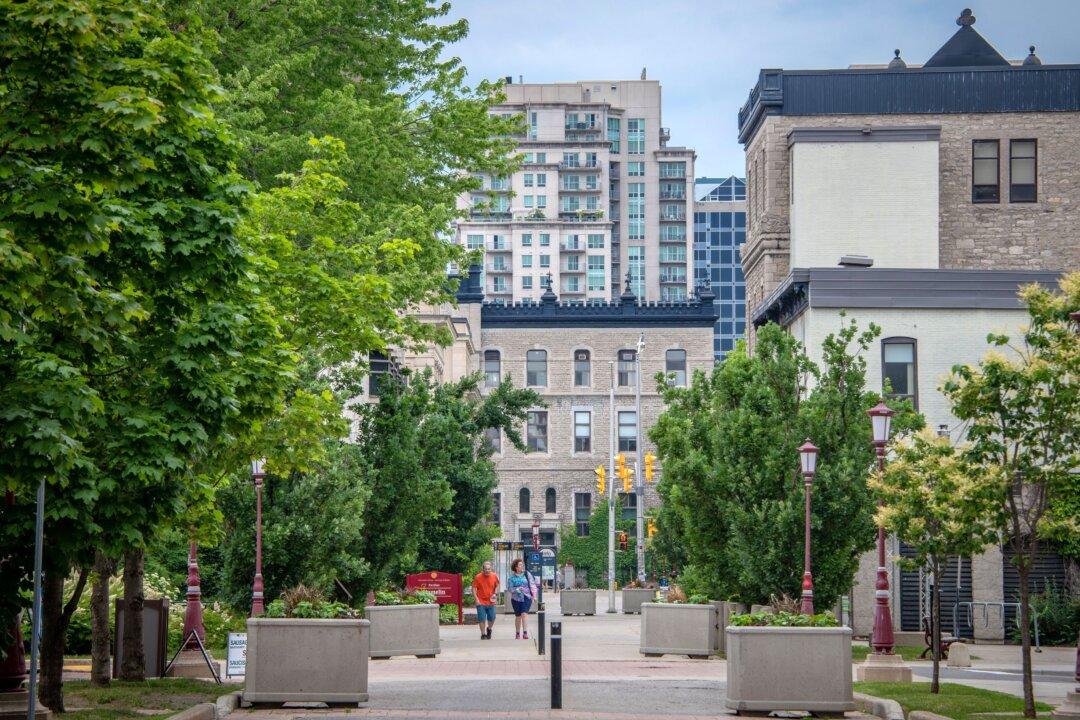 Are Academic Freedom and Diversity on a Collision Course?