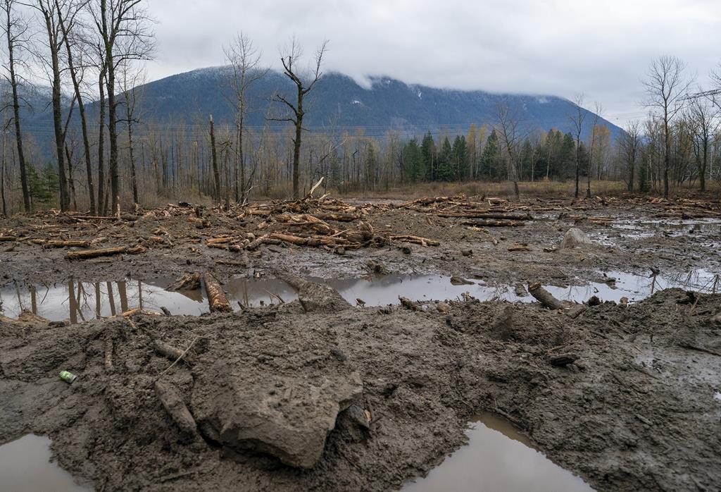 Three More Bodies Recovered at Site of BC Mudslide, Death Toll Rises to Four