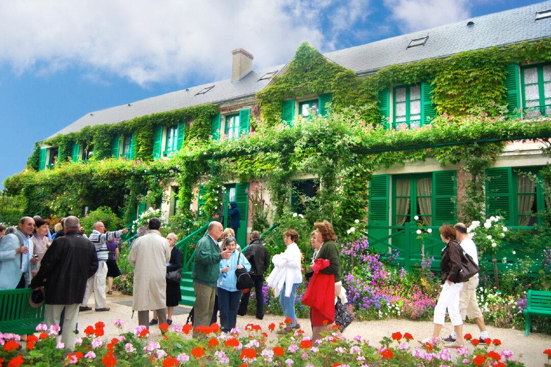 Explore Your Special Interest on a Themed Cruise