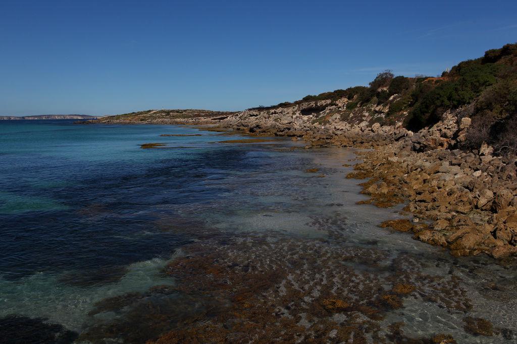 South Australian Deputy Premier Vickie Chapman Resigns over Conflict of Interest Allegations