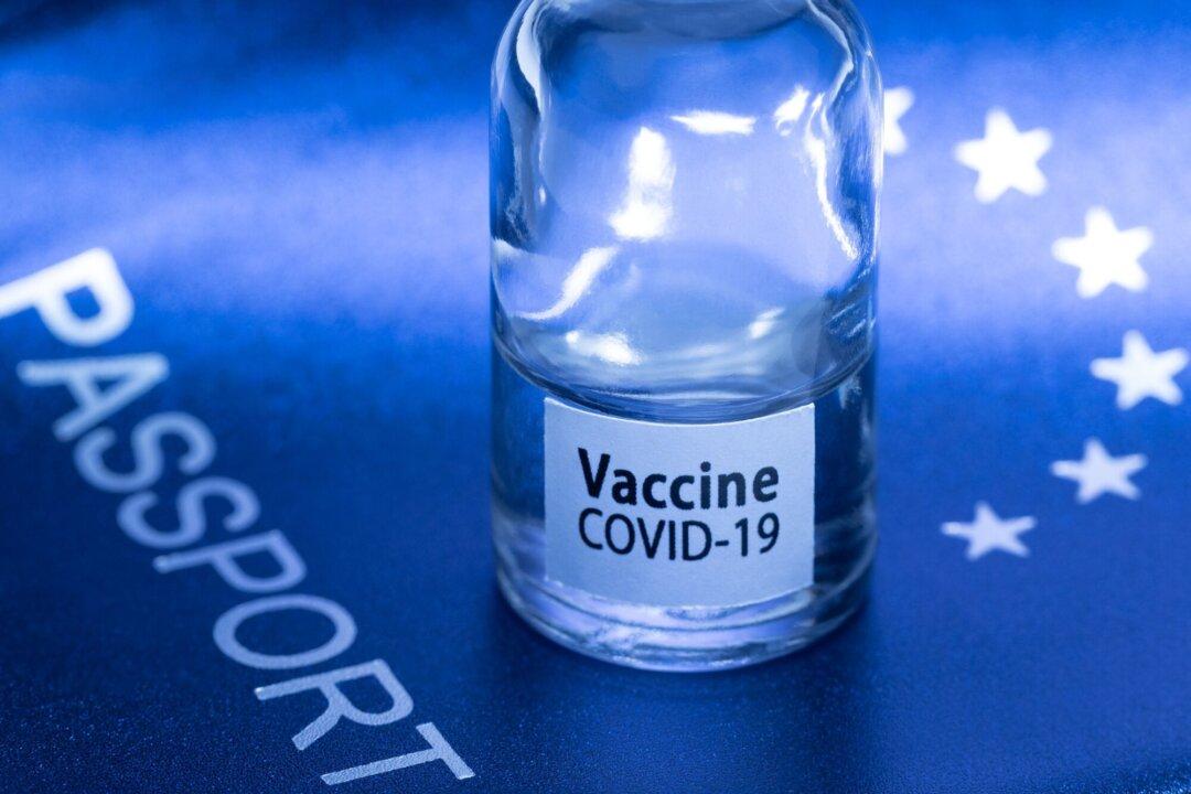 G20 Promotes WHO-Standardized Global Vaccine Passport and ‘Digital Health’ Identity Scheme