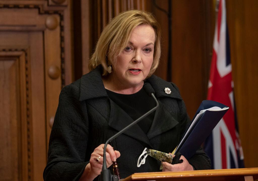 New Zealand Opposition Leader Rolled After Move to Demote MP Backfires