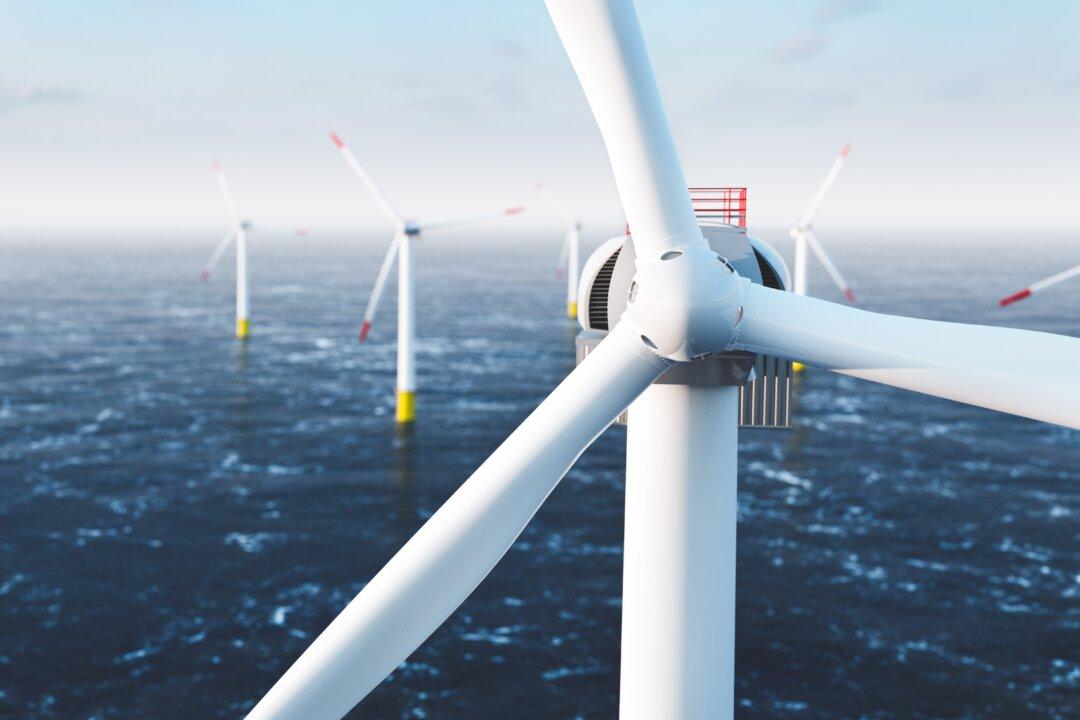 Oceanic Administration’s Fisheries Expert Raised Red Flags About Offshore Turbines