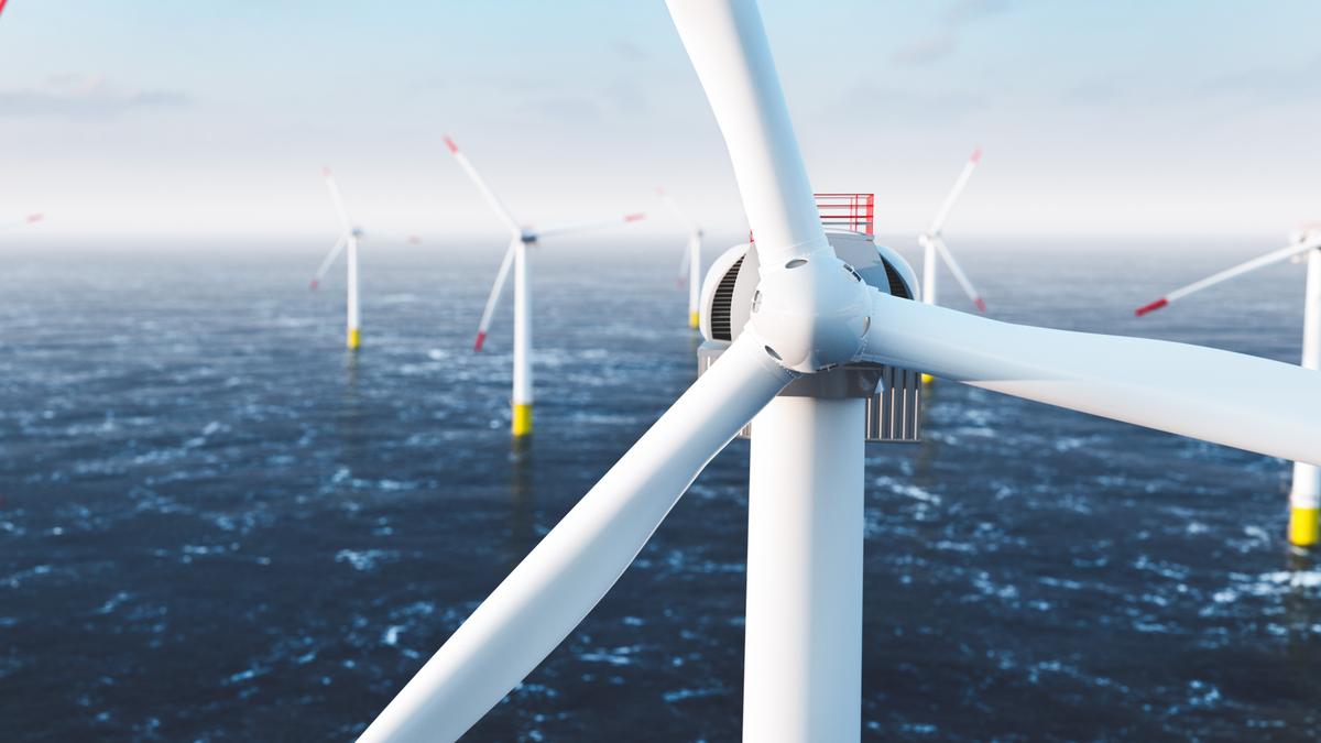 IN-DEPTH: Wind Energy Industrialization Undermines Ocean Ecosystem