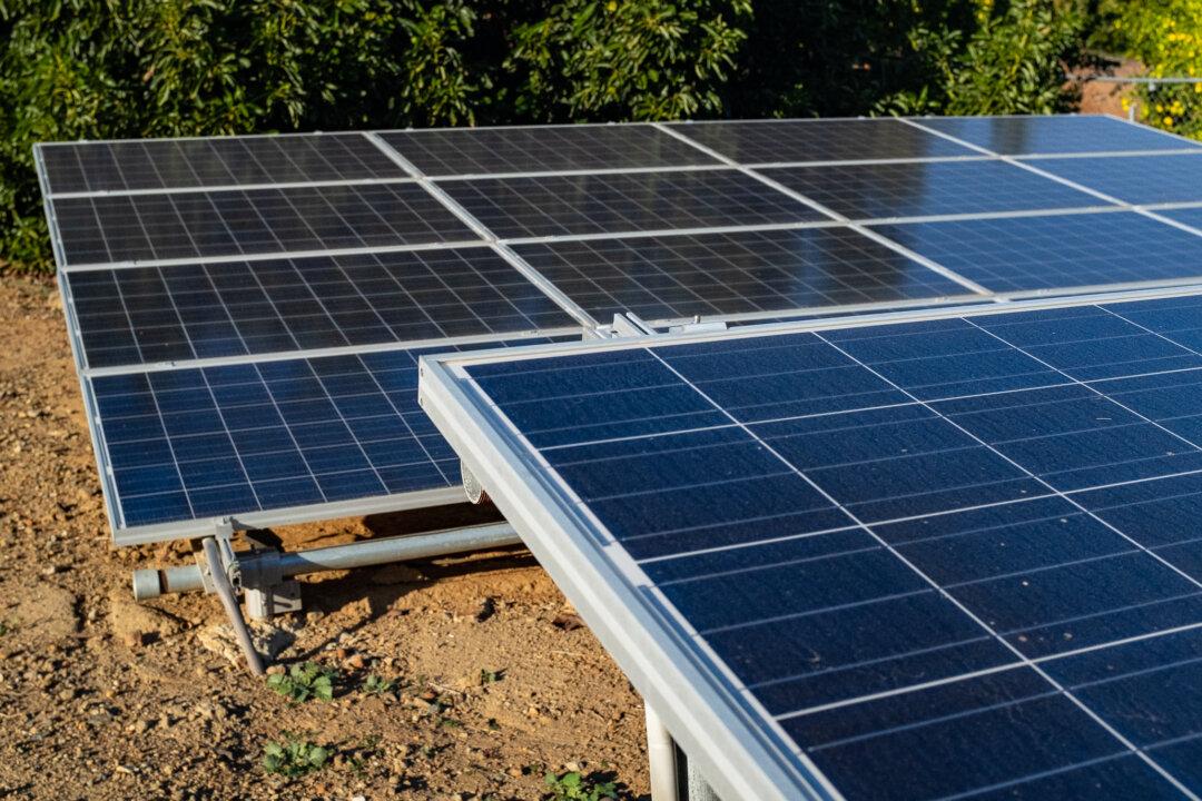 US to Impose Tariffs on Major Solar Firms for Dodging China Duties