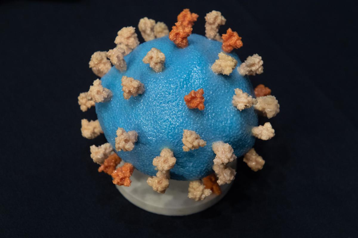 Omicron May Have Picked Up Genetic Material from Common Cold Virus