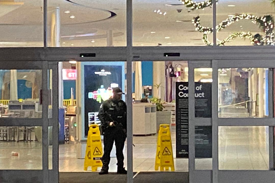 At Least 1 Injured in Black Friday Mall Shooting in Washington