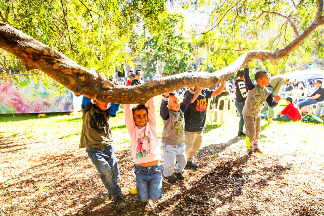 More Transparency and Government Regulation Required in Early Childhood Education: Union