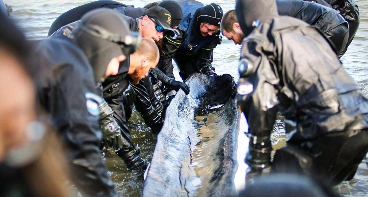 Archaeologists Pull 1,200-Year-Old Dugout Fishing Canoe From Bottom of Wisconsin Lake