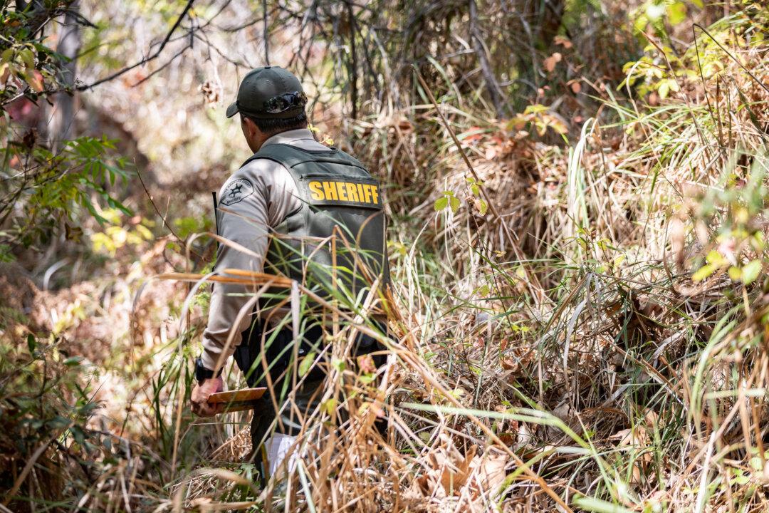 Increased Marijuana Cultivation Enforcement Results in Fewer Illegal Sites: Sheriff