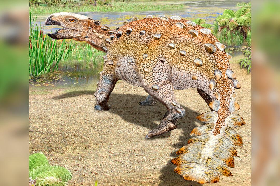New Dinosaur Species From Chile Had a Unique Slashing Tail