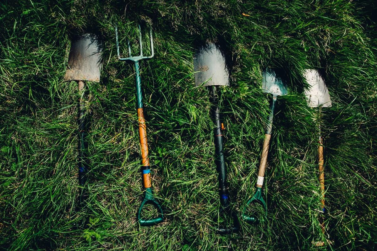 Fall Garden and Tool Cleanup