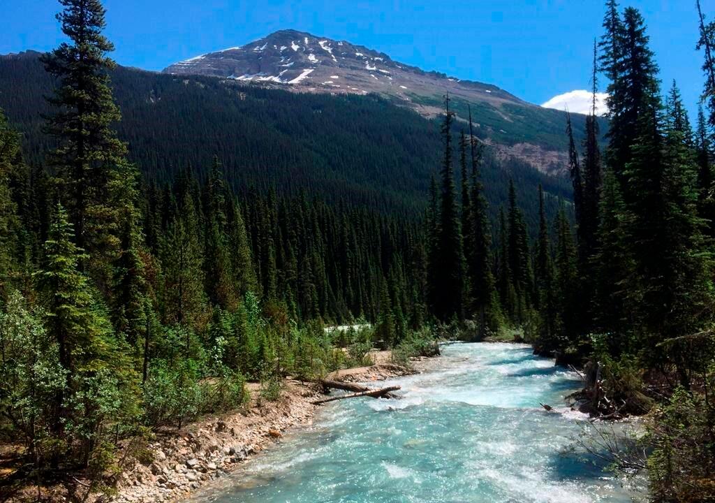 Ottawa Announces $14.7 Million to Fight Aquatic Invasive Species in Mountain Parks