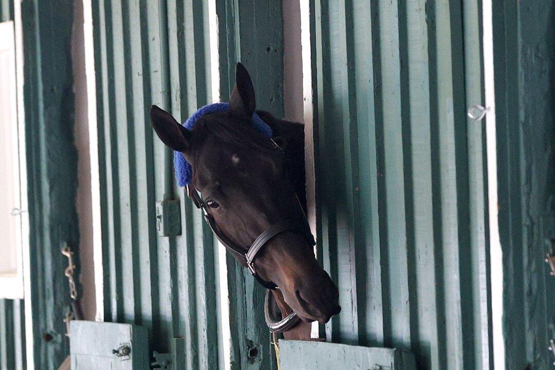 Derby Winner Medina Spirit Collapses, Dies in California