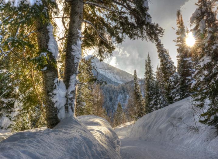 Beautiful morning to be driving and hiking in the mountains outside Salt Lake City, UT. (Cat Rooney)