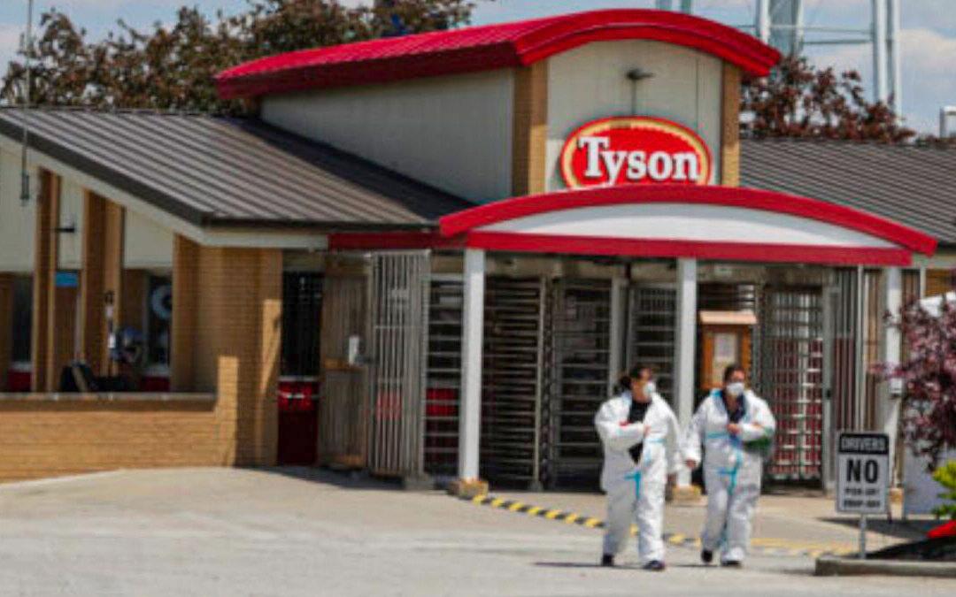 Fires at Food Processing Facilities Raise Concerns