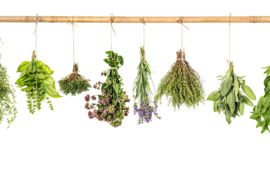 Herbs Can Help Lower Blood Pressure