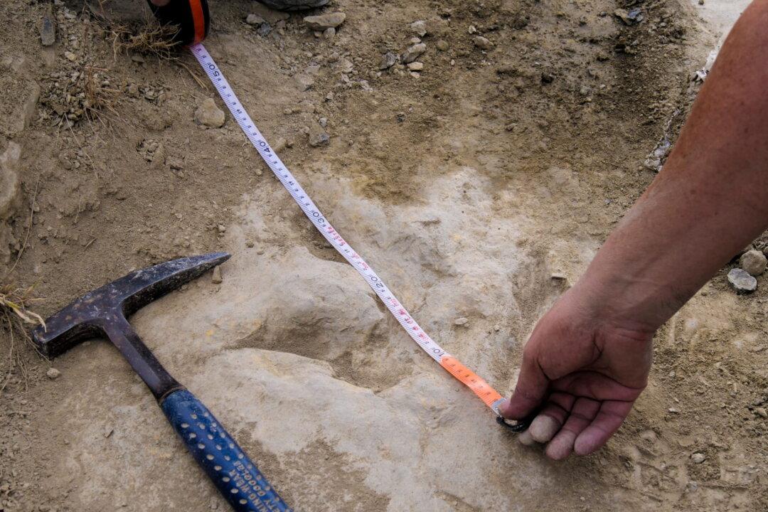 Footprints in Spain Show Meat-Eating Dinosaurs Were Fast and Furious