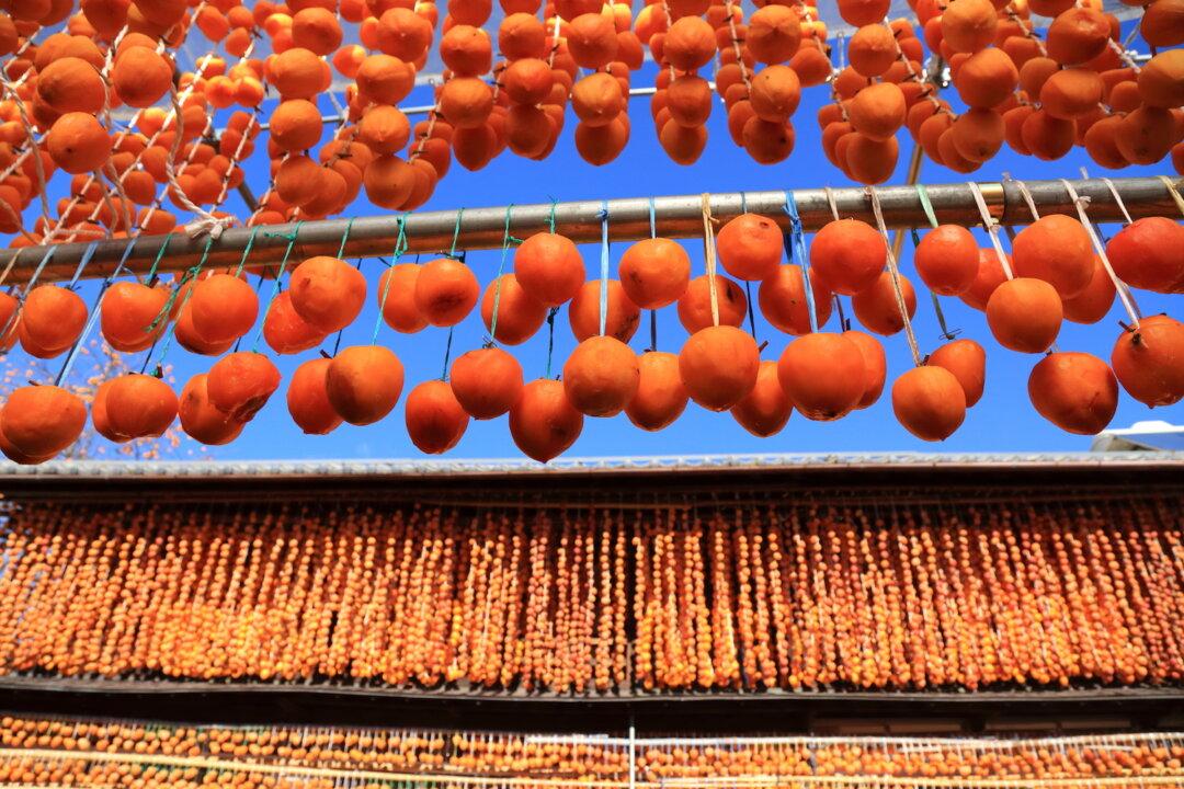 The Patient Art of Drying Persimmons
