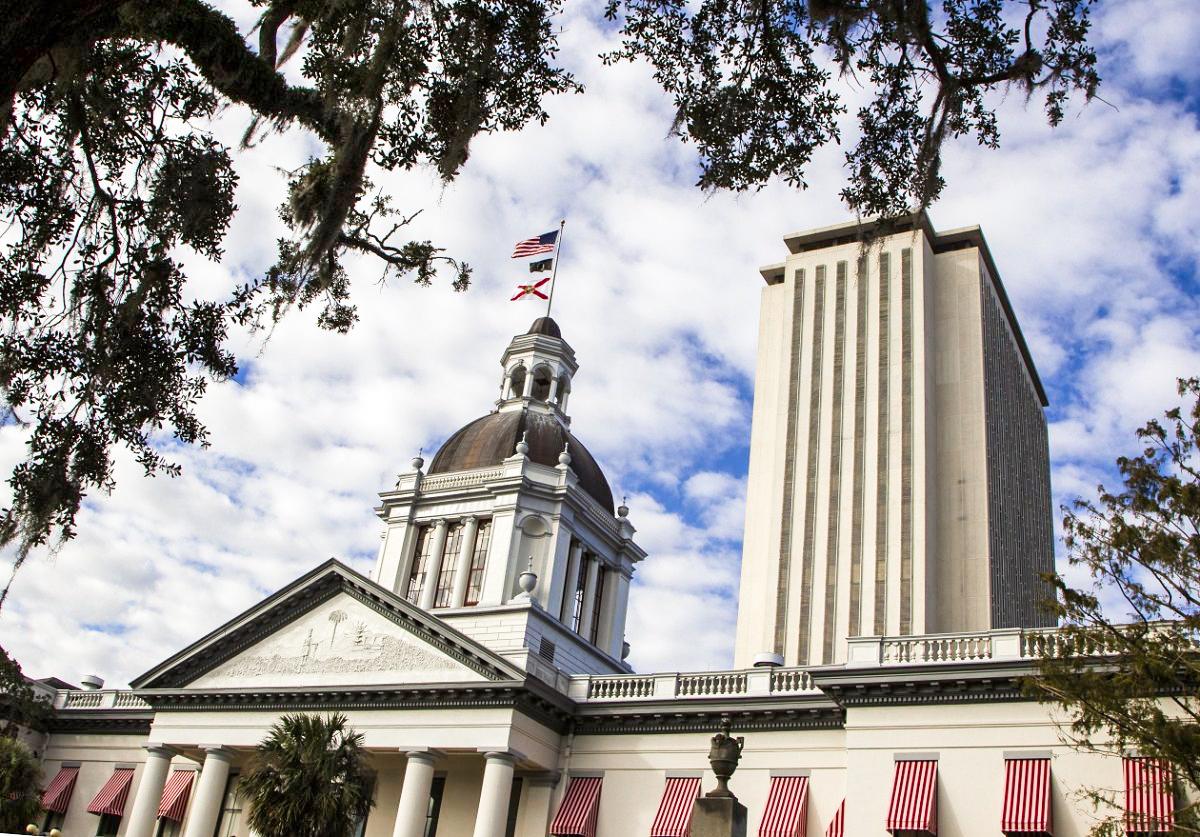 Florida Bill Would Make Employers Liable for Costs of Gender Detransition Care
