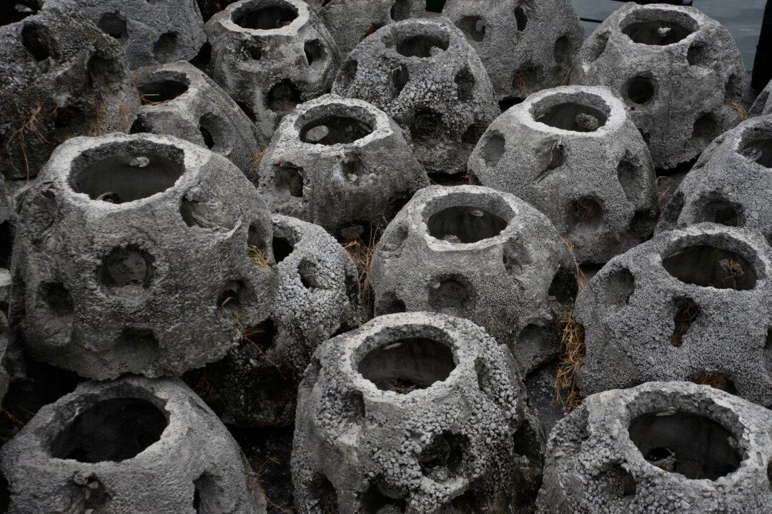 San Diego Port Installing 300 ‘Reef Balls’ As Pilot Oyster Living Shoreline Begins