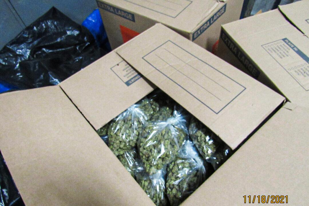 Indoor Illegal Marijuana Grows in Oregon Tied to Chinese Organized Crime