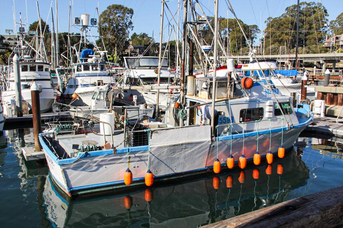 California Monterey Bay Area Open for Crabbing After Delay