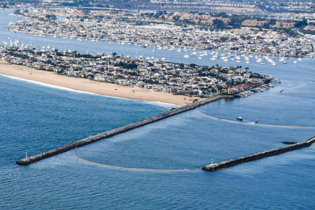 Oil Company Amplify Energy Accused of Negligence Over Massive Spill Off California Coast: DOJ