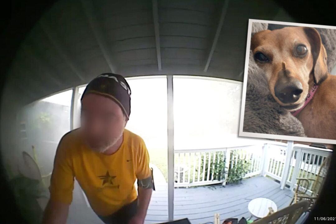 Jogger Uses Ring Doorbell Cam to Alert Family to House Fire in Garage—Then Saves Family Dog