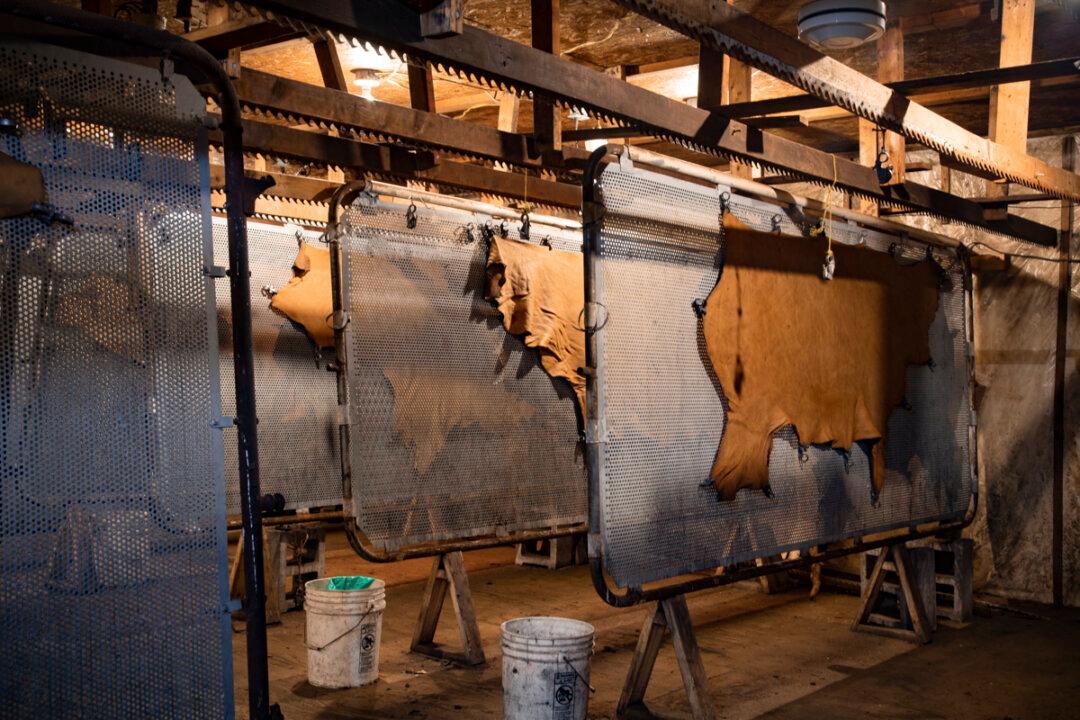 500 Years and Counting