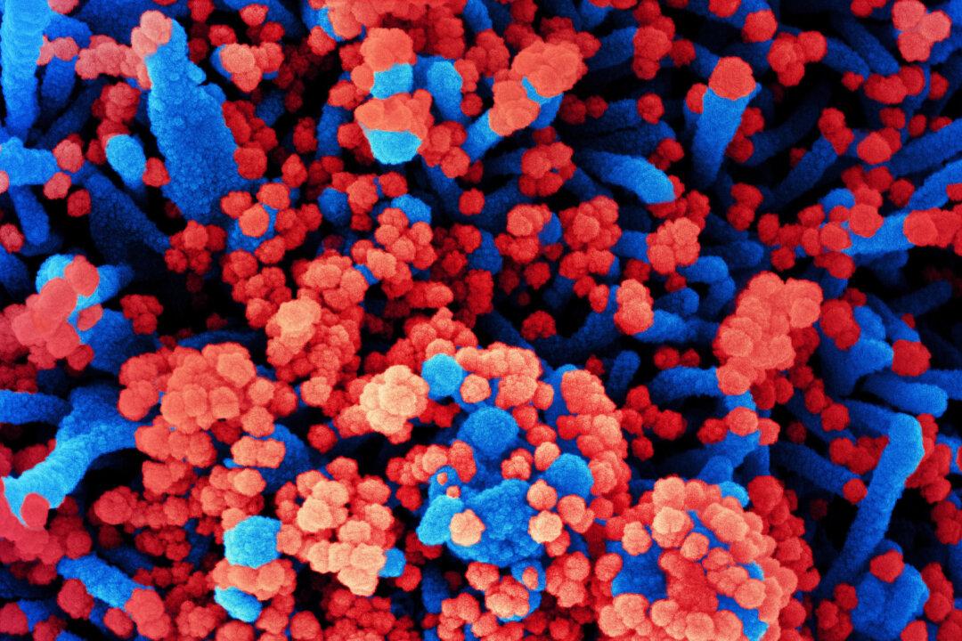 Omicron Infections Doubling in 1.5 to 3 Days in Regions With Community Spread: WHO