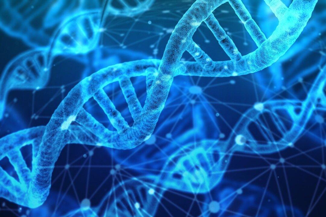 Partial DNA Donation Law Debate to Enter Third Day