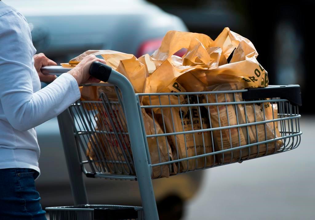 EXPLAINER: Who Will Receive the One-Time Grocery Rebate?