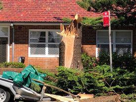Homes Still Without Power after Sydney’s Tornado-Like Storm