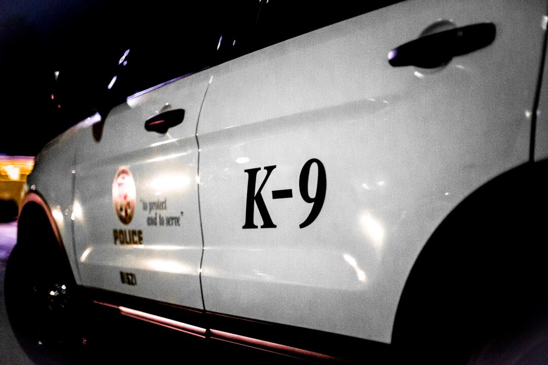 Los Angeles Sheriff’s Department Dog Shot, Recovering at Home