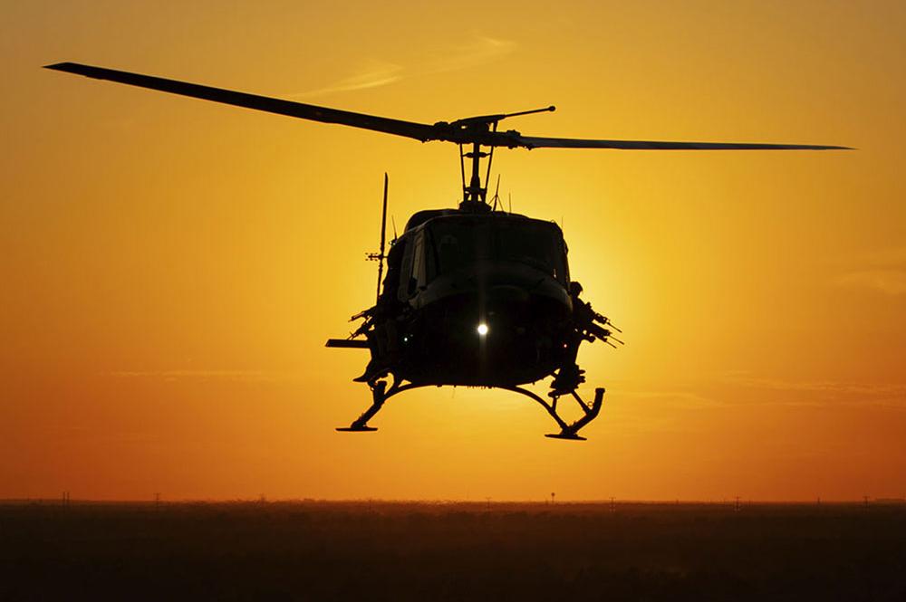 The War on Wild Hogs Has Higher Stakes Now, Scientists Say