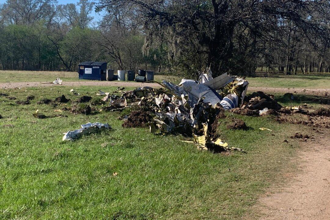 2 Dead After Plane and Paraglider Collide in Texas: Officials