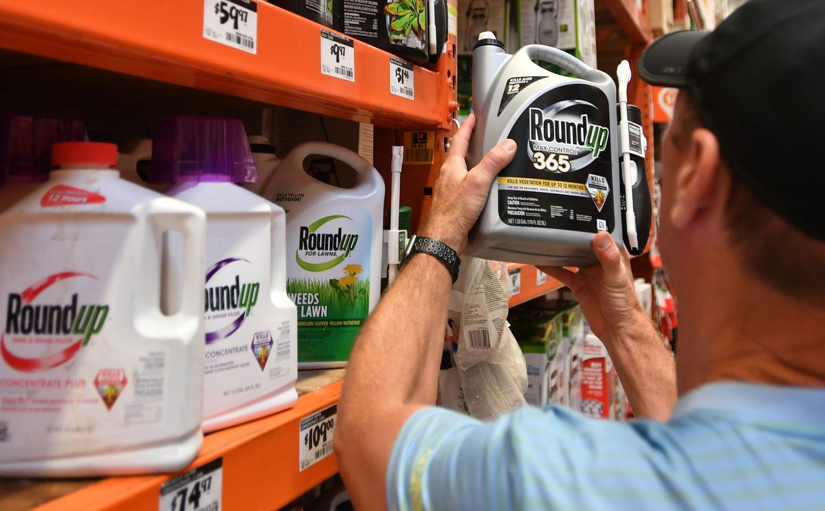 Supreme Court Could Decide Fate of Monsanto/Bayer Roundup Cancer Suits