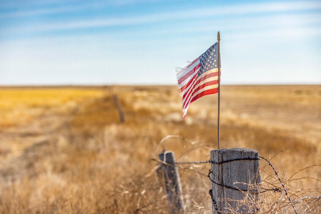 Talk of an EU-style Governance of the Americas Raises Red Flags With Congressman