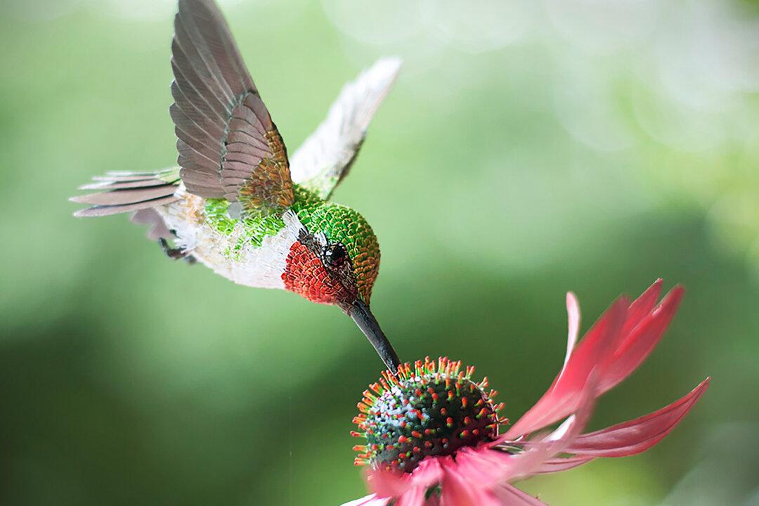 Artist Crafts Meticulously Cut Paper Birds So Realistic They Look Like They’re About to Fly Away