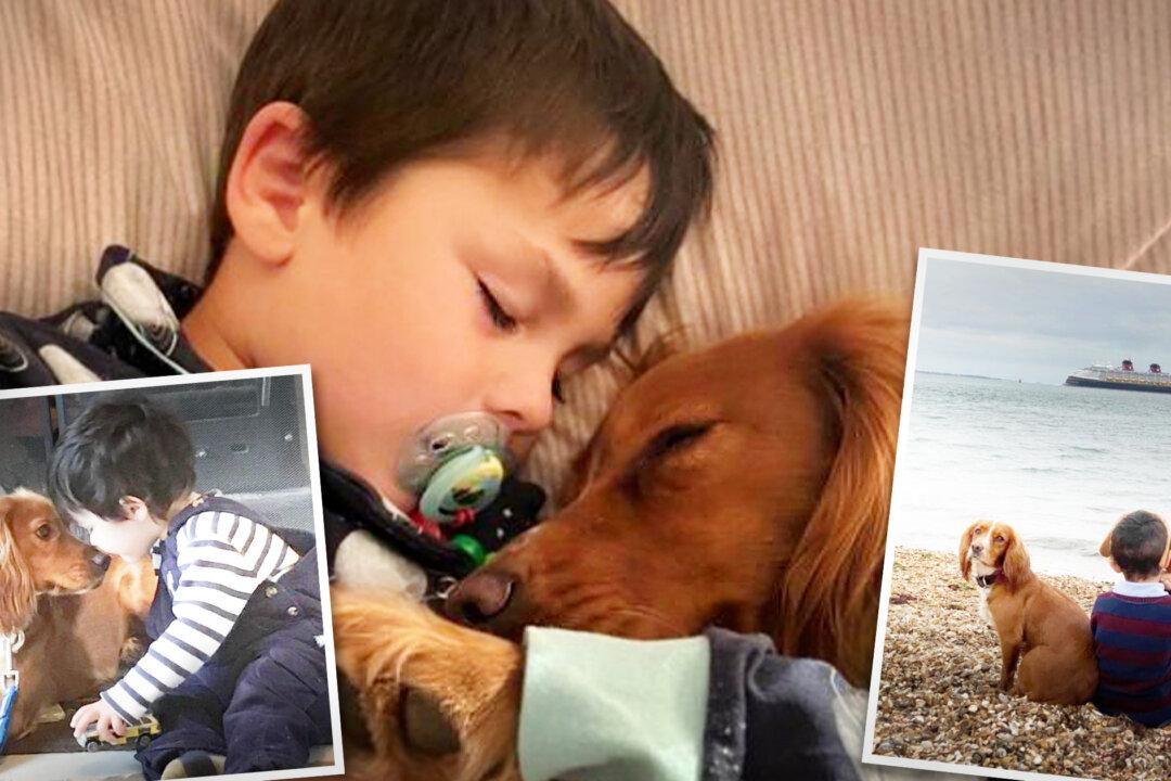 Autistic Boy Never Spoke a Word or Showed Emotion—Until Parents Got a Cocker Spaniel Best Friend for Life