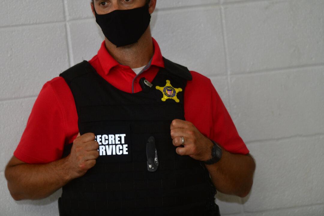 US Secret Service Investigating Hundreds of Fraud Cases Linked to Funds for Pandemic Relief