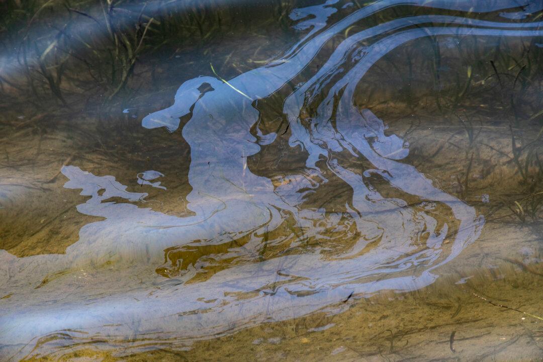 Officials Say Pipeline the Source of Oil Sheen Off Huntington Beach