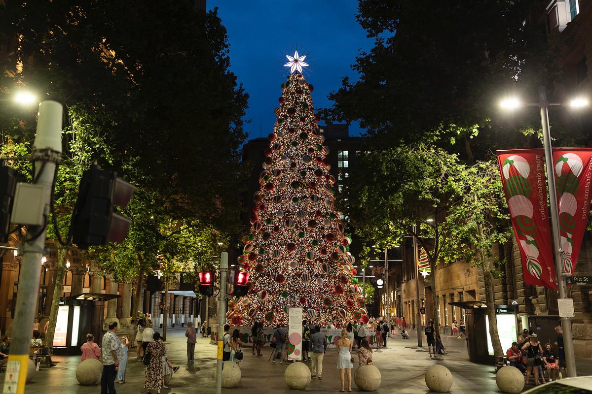 Christmas Tree Shortage Stumps Australian Holiday Celebrations