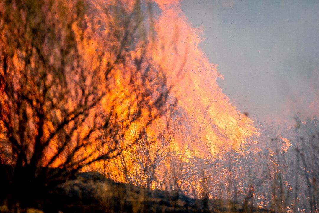 California Sues SoCal Edison, T-Mobile for Allegedly Sparking Silverado Fire