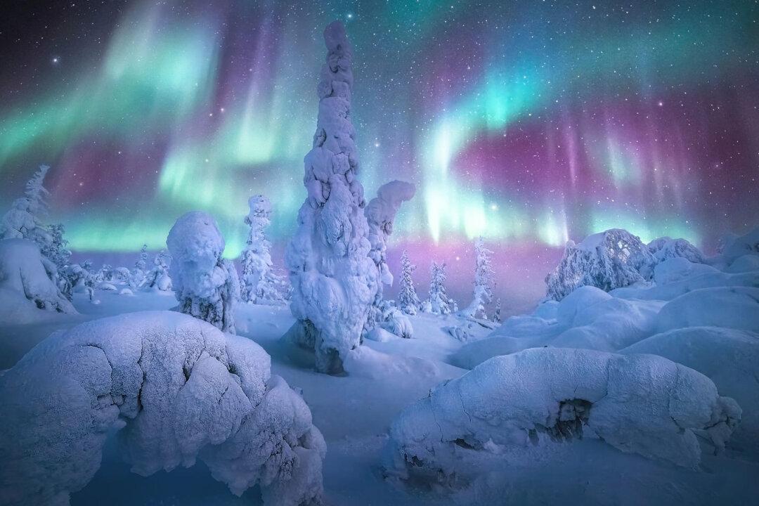 2021 Northern Lights Photographer of the Year Winners Feature Auroras Above Volcanoes, Frozen Forests, and Fjords